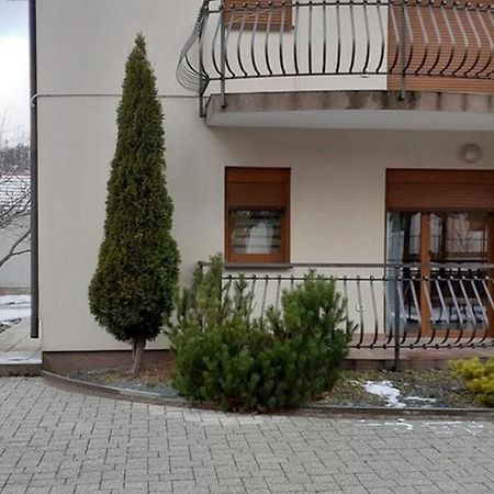 Apartments With A Parking Space Fuzine, Gorski Kotar - 19537 Kültér fotó